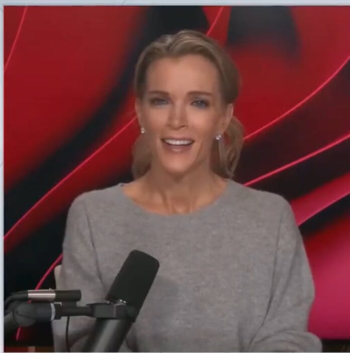 VIDEO: Megyn Kelly laughed as Rich Lowry called black Haitians nigga while discussing about the cat eating issues in Springfield