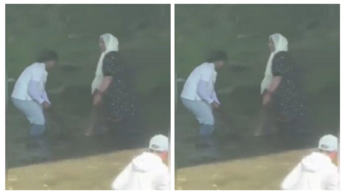 VIDEO: Muslims seen fishing illegally at Ganaraska river in Port Hope, Ontario