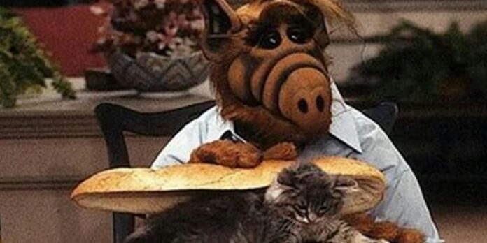 ‘ALF eating a cat sandwich’ memes surge following Trump’s ‘eating pets’ claim