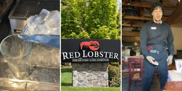 ‘FACTS especially when they 4 shirley temples deep‘: Red Lobster server shares real reason you don’t get a lot of ice