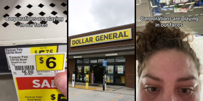 ‘Now if it does go digital we’ll never know’: Dollar General worker gets asked to put up ‘sale’ prices. She can’t believe what the new price is