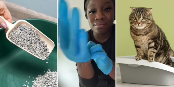 ‘With my indoor cats I tried to be careful’: Nursing student warns you should use gloves to clean your litter box