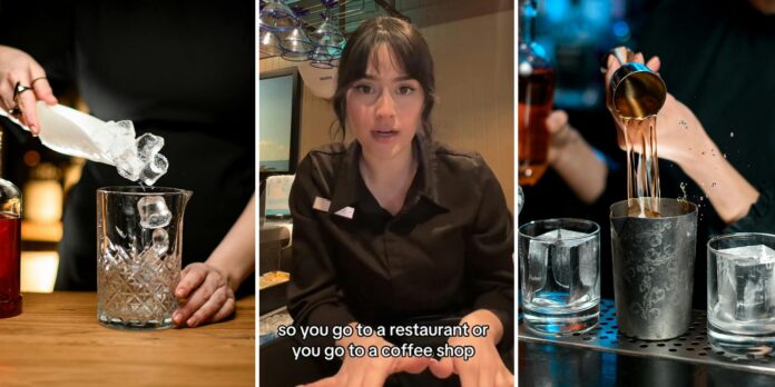 ‘You guys are not getting it’: Bartender calls out customers who ask for light ice, shows what you’re really getting