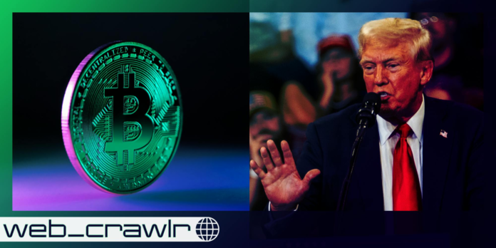 Newsletter: 🪙 Bitcoin bros feel betrayed by Trump