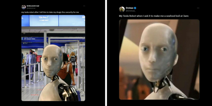 The ‘My Tesla Robot’ meme hilariously predicts how we’ll treat our future bots