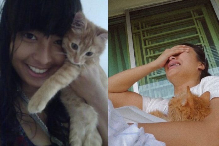 VIDEO: Nabila Huda crying as her cat, Aoki, passed away due to kidney disease as posted on her IG story