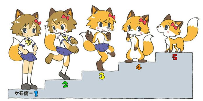 What is the Furry Scale?