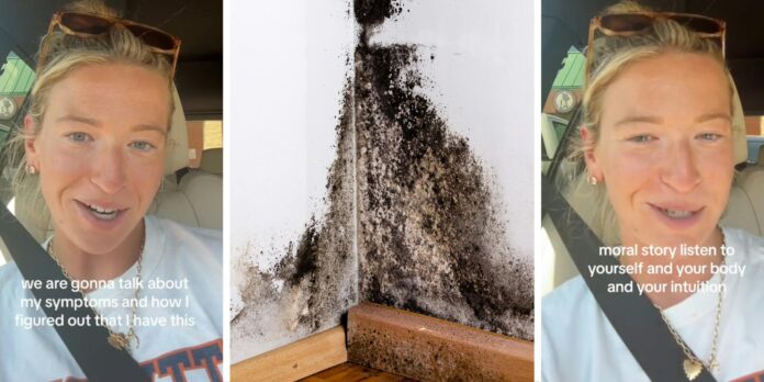 ‘I really thought it was a mental health issue’: Woman discovers she has mold toxicity from her home. Here’s how she finally figured it out after a year