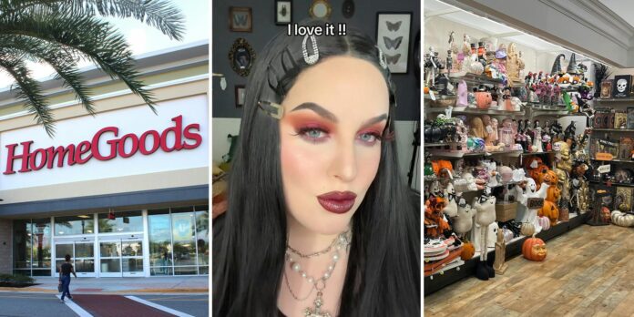 ‘One lady followed me out to the parking lot’: HomeGoods shopper goes in for specific Halloween item. She can’t believe what other customers asked her